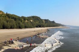 {{brizy_dc_image_alt imageSrc=