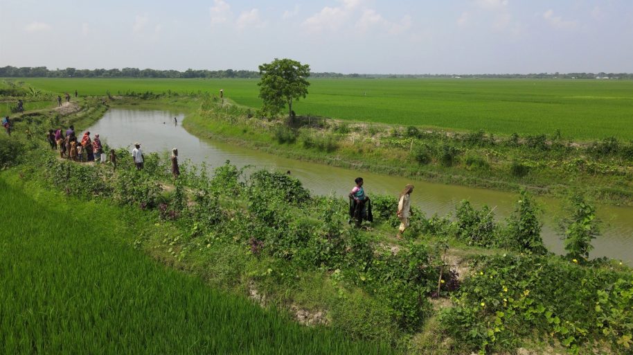 {{brizy_dc_image_alt imageSrc=