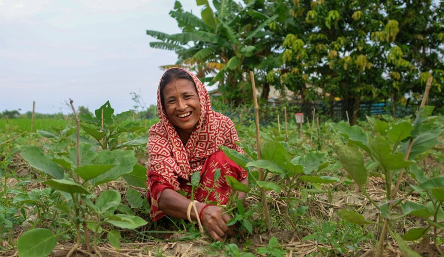 {{brizy_dc_image_alt imageSrc=